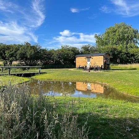 Mountbatten Shepherds Hut & Buckhurst Shepherds Hut 阿什弗德 外观 照片