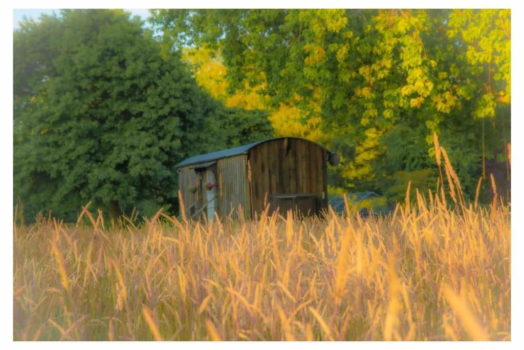 Mountbatten Shepherds Hut & Buckhurst Shepherds Hut 阿什弗德 外观 照片