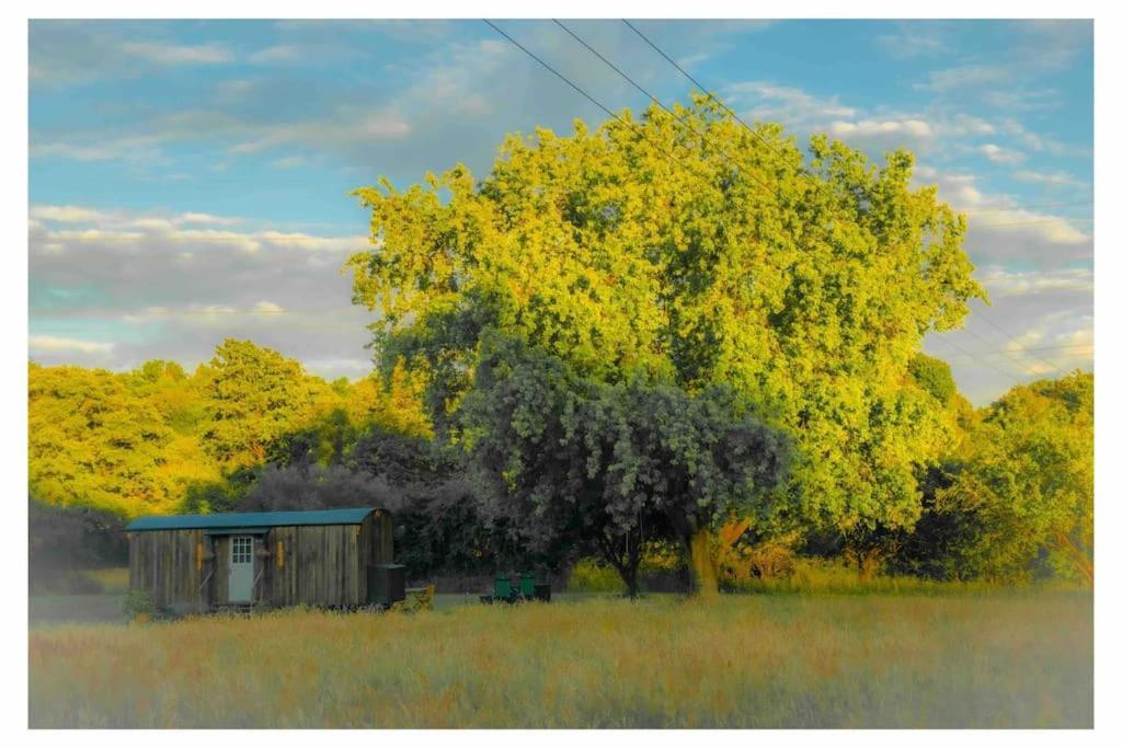 Mountbatten Shepherds Hut & Buckhurst Shepherds Hut 阿什弗德 外观 照片