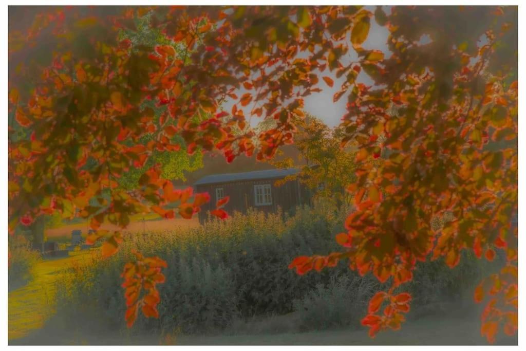 Mountbatten Shepherds Hut & Buckhurst Shepherds Hut 阿什弗德 外观 照片