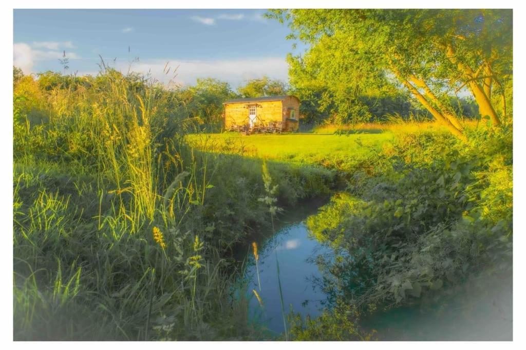 Mountbatten Shepherds Hut & Buckhurst Shepherds Hut 阿什弗德 外观 照片