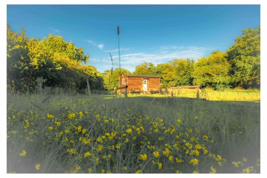 Mountbatten Shepherds Hut & Buckhurst Shepherds Hut 阿什弗德 外观 照片