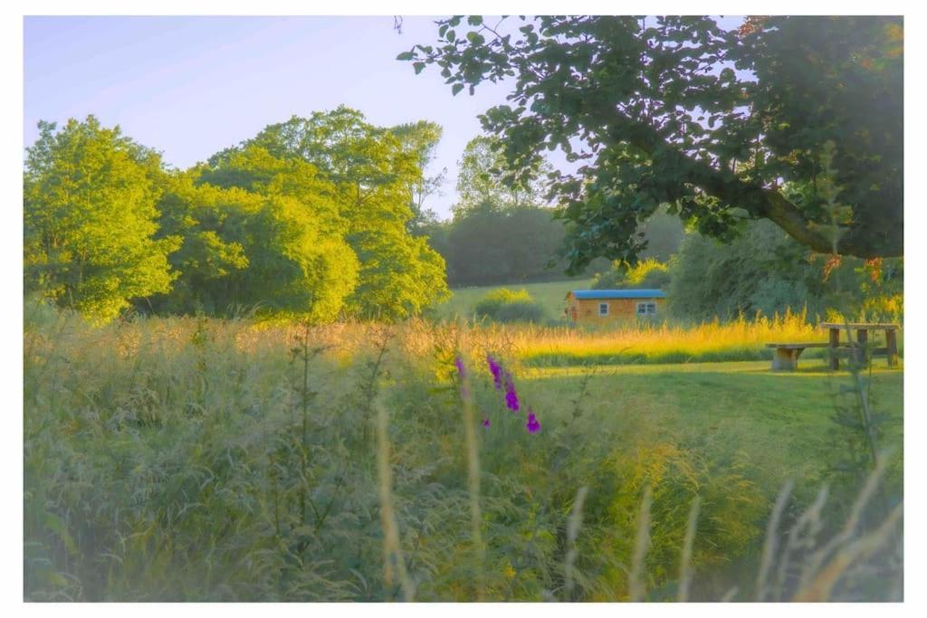 Mountbatten Shepherds Hut & Buckhurst Shepherds Hut 阿什弗德 外观 照片