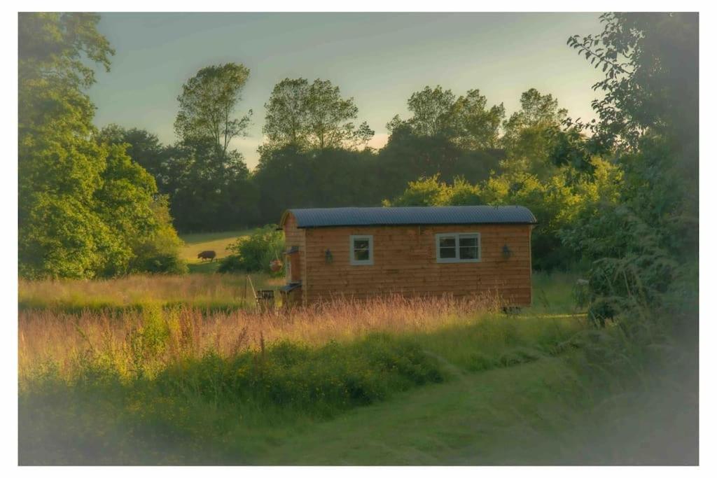 Mountbatten Shepherds Hut & Buckhurst Shepherds Hut 阿什弗德 外观 照片