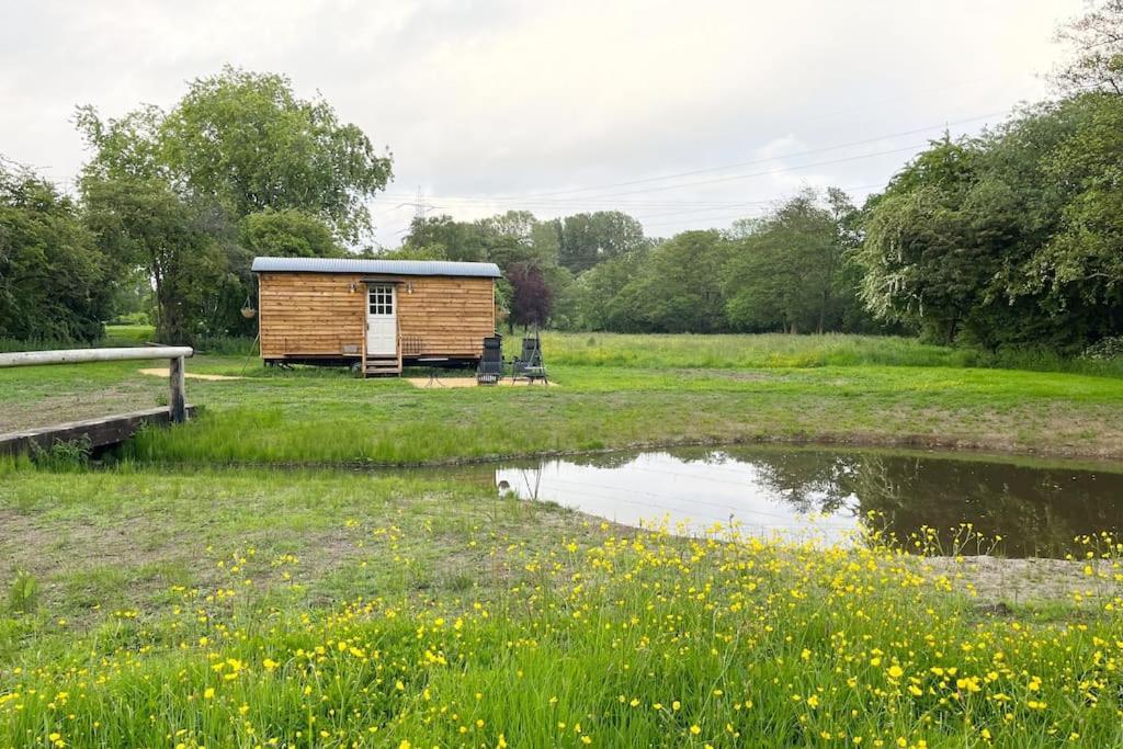 Mountbatten Shepherds Hut & Buckhurst Shepherds Hut 阿什弗德 外观 照片