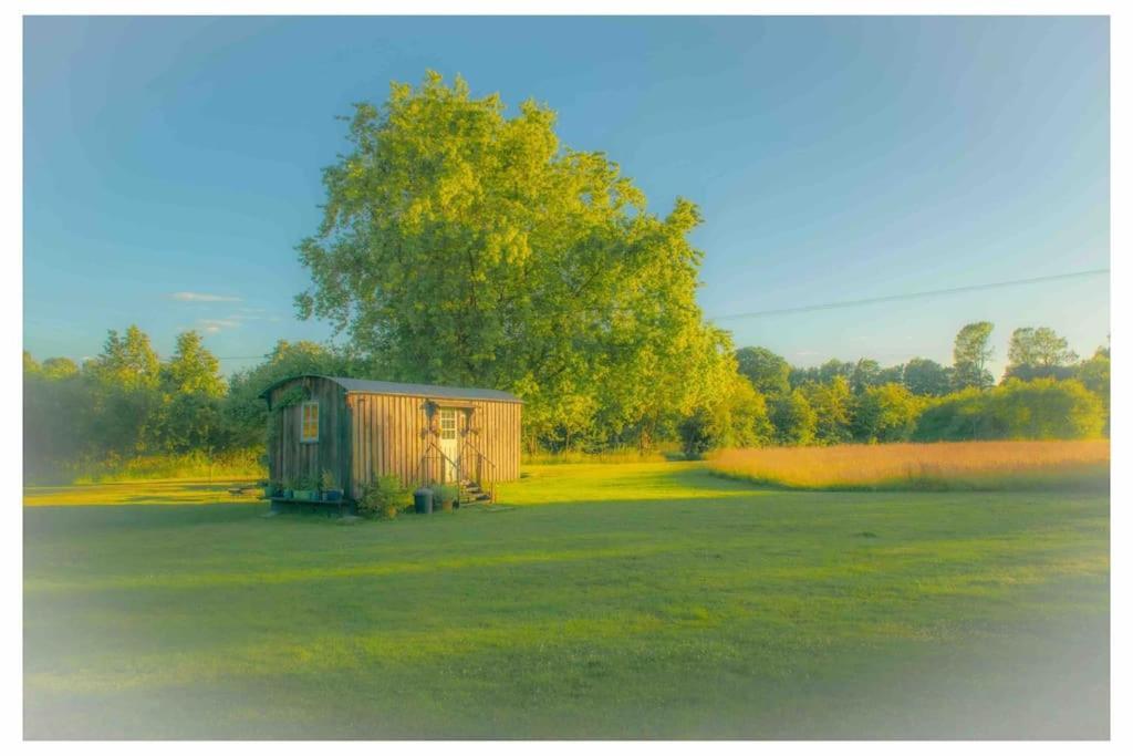 Mountbatten Shepherds Hut & Buckhurst Shepherds Hut 阿什弗德 外观 照片