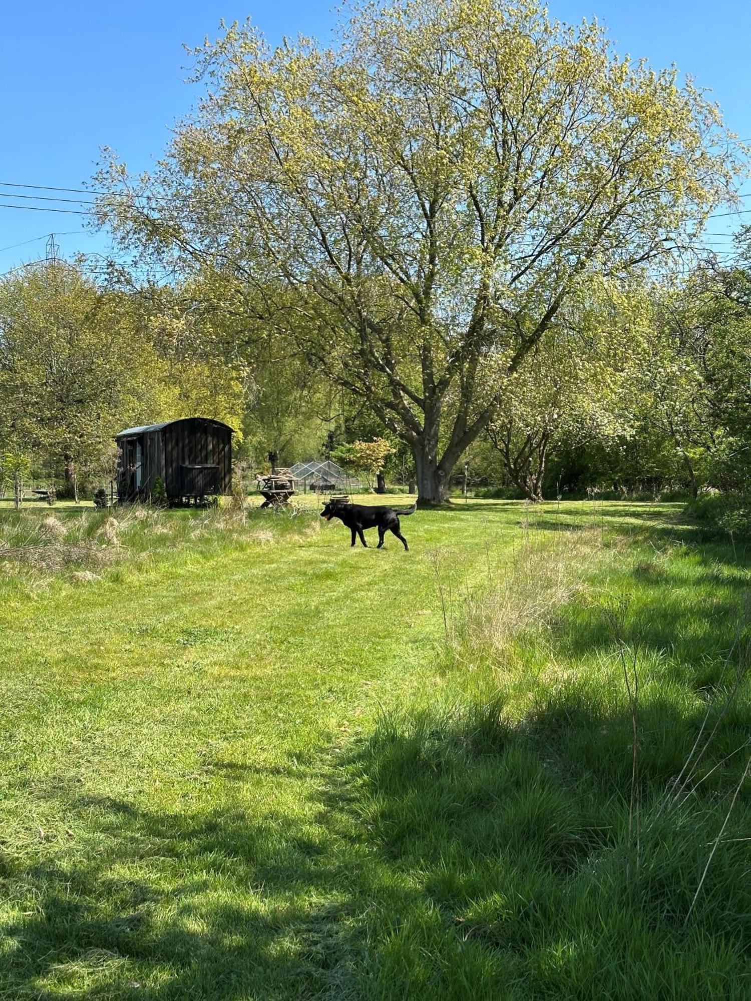 Mountbatten Shepherds Hut & Buckhurst Shepherds Hut 阿什弗德 外观 照片