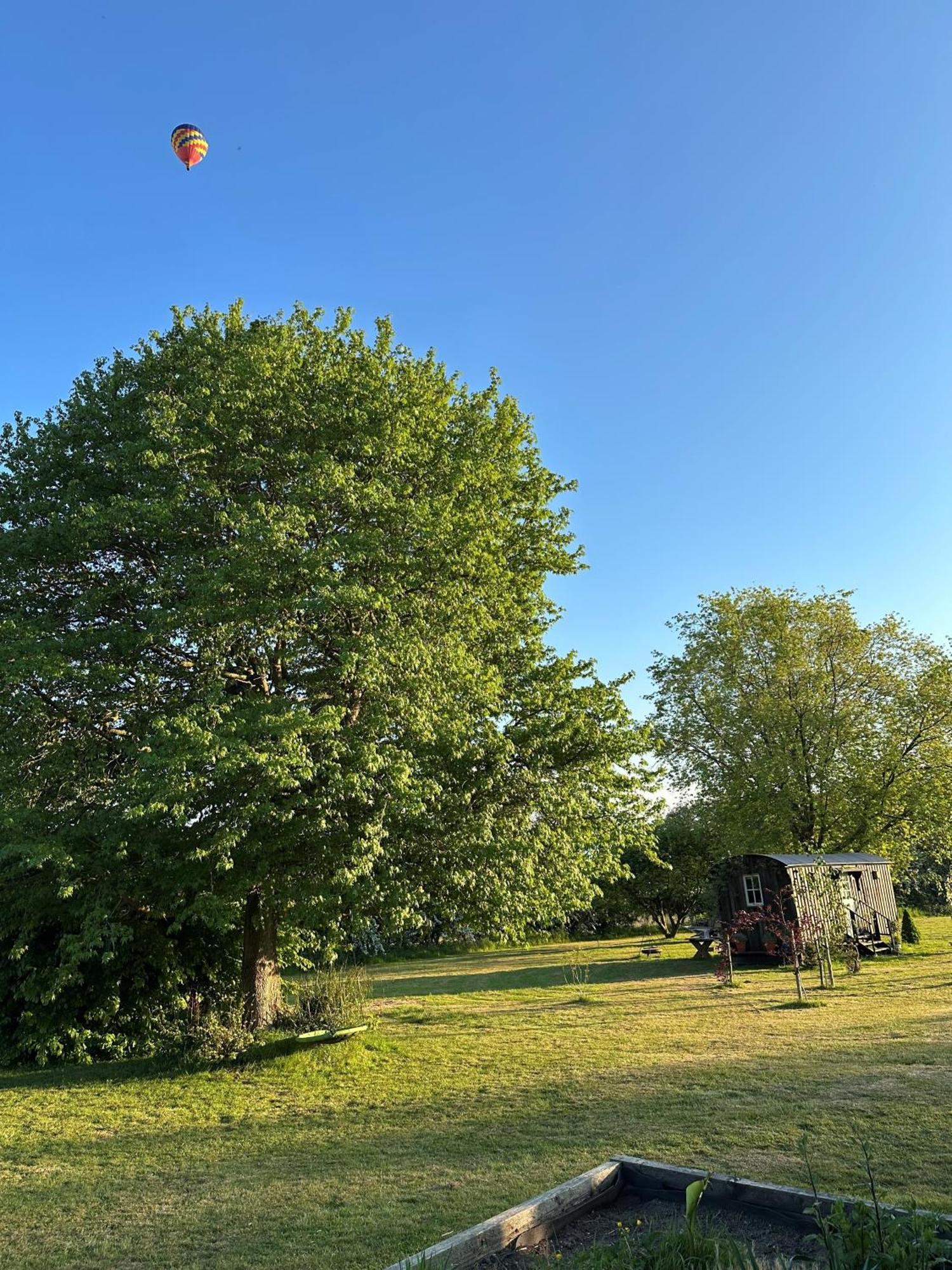 Mountbatten Shepherds Hut & Buckhurst Shepherds Hut 阿什弗德 外观 照片