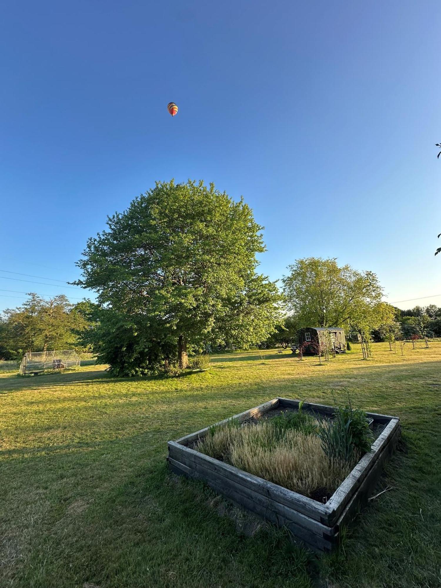 Mountbatten Shepherds Hut & Buckhurst Shepherds Hut 阿什弗德 外观 照片